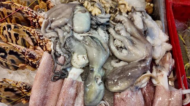 Close-up of fresh raw octopus, squid and assorted seafood displayed on ice at a traditional Thai seafood market. High-quality fresh marine products for sale in 4K.