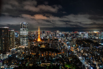 Fototapeta premium Tokyo night view, Japan