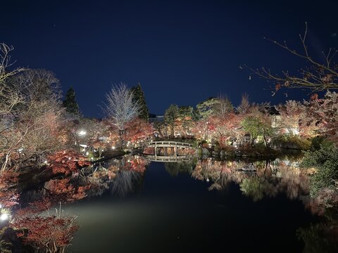 Eikando Zenrin-ji Temple Night Illumination, Kyoto, Japan