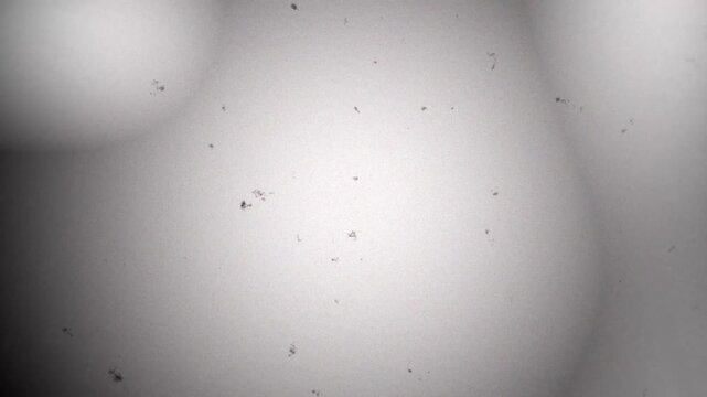 Retro Cinema Texture Loop with Gritty Dust Scratches and Flicker Light Leaks for Aged Film Aesthetic 4k video