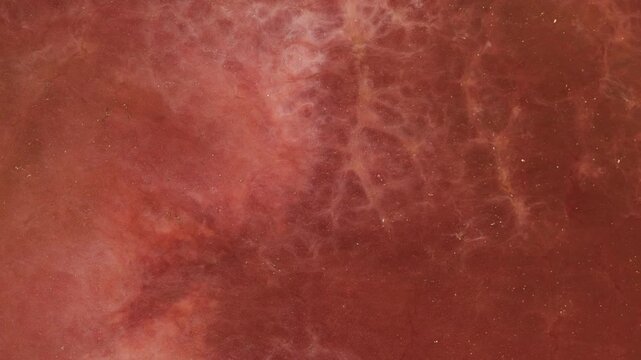 Alcohol ink spreads in macro detail with multiple colors in a contemporary art display