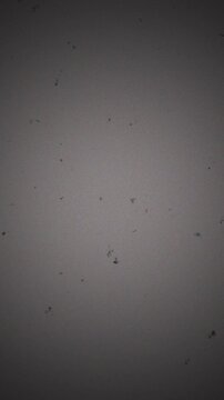 Vintage cinematic film texture featuring jittery scratches and dust particles for nostalgic storytelling 4k video