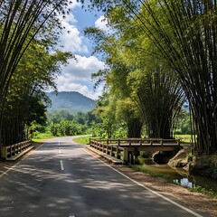 Obraz premium Lush Bamboo Grove Framing Quiet Rural Road and Bridge in Tropical Mountain Landscape