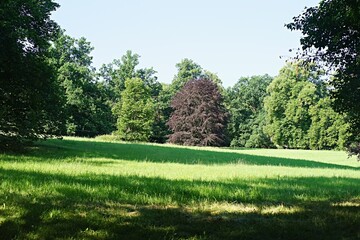 Fototapeta premium Jardin du château Orlik