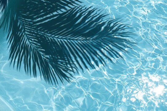 Palm tree leaf shadow on rippling blue pool water surface on a sunny day