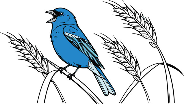Blue bird singing perched among wheat stalks with bluebird wildlife illustration agriculture feathers songbird outdoors colorful ornithology creature animalia chirping isolated