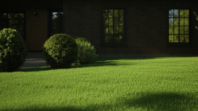 Green grass lawn with round bushes near a modern dark house