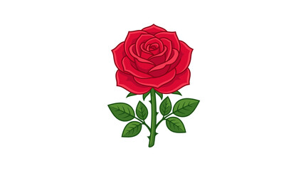 Fototapeta premium A single red rose flower.