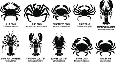 Edible Crab and Lobster Silhouette Set Featuring Blue King Dungeness Snow Stone Jonah Crab and American European Lobsters © MdShagarAli