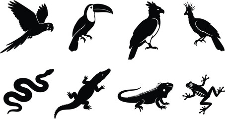 Obraz premium Tropical Jungle Animal Silhouette Set Featuring Macaw Toucan Harpy Eagle Snake Alligator Iguana and Tree Frog Vector Graphics