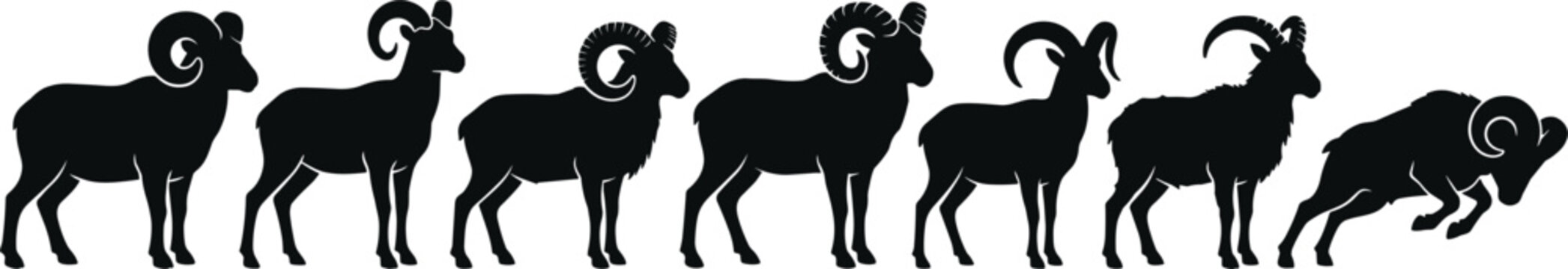 Mountain Wild Bighorn Sheep and Ram Silhouette Set Featuring Horned Caprid Animals for Nature Wilderness Vector Designs