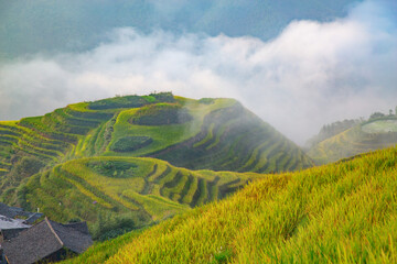 Fototapeta premium Longji Rice Terraces