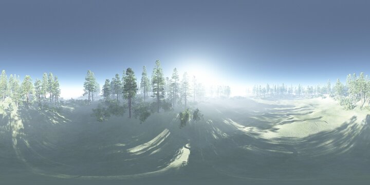 HDRI, environment map , Round panorama, spherical panorama, equidistant projection, panorama 360, Forest and swamp, 3d rendering