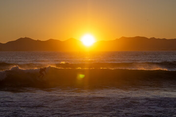 Fototapeta premium Surfer at sunset. High quality photo