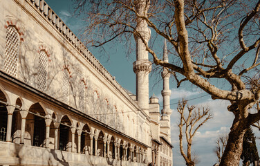 Obraz premium Blue Mosque or Sultan Ahmed Mosque Exterior in Istanbul, Turkey