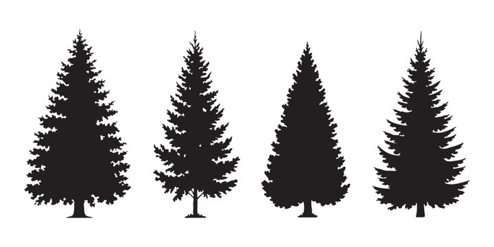 Set of four unique black pine tree silhouettes on a transparent background for various design projects.