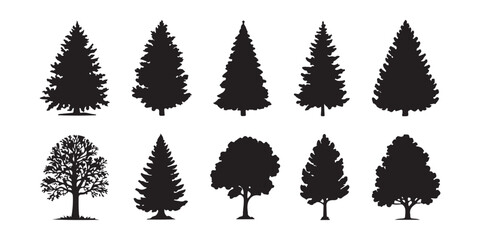 Diverse collection of coniferous and deciduous tree silhouettes on transparent background vector art. © Moni