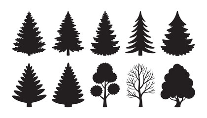 Assortment of evergreen and deciduous trees, black silhouettes on transparent backdrop vector. © Moni