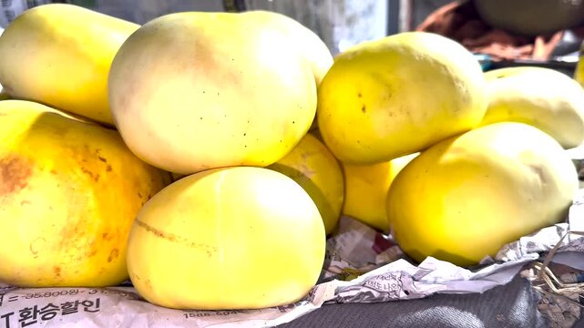 Golden Melon Bounty: A close-up shot captures a pile of ripe, golden melons, their smooth skins catching the sunlight, hinting at their sweet, juicy interior.