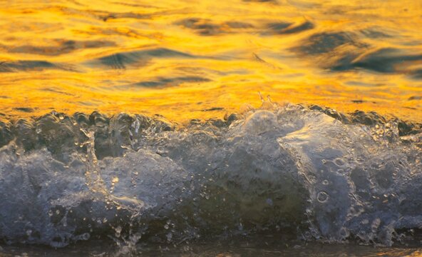 Big wave splash with foam and bubbles in golden sunset, sea waves summer background
