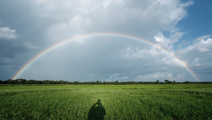 Fototapeta premium 雨上がりの草原に虹と光が広がる希望を感じる空模様