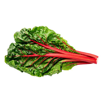 Swiss chard, photograph asset