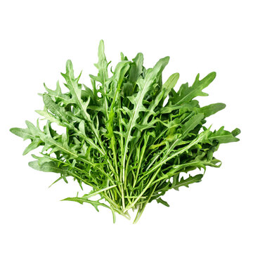 Arugula, photograph asset