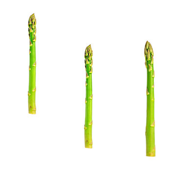 Asparagus, photograph asset