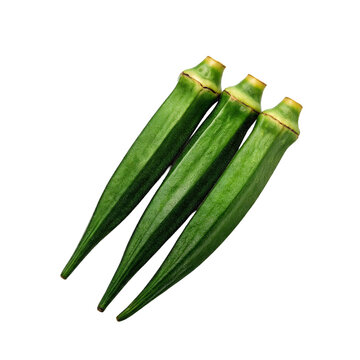 Okra, photograph asset