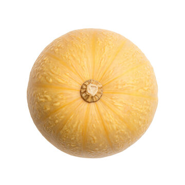 Spaghetti squash, photograph asset