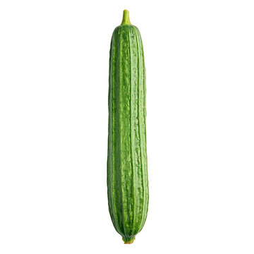 Ridge gourd, photograph asset