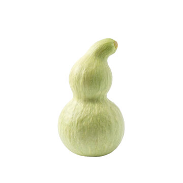 Bottle gourd, photograph asset