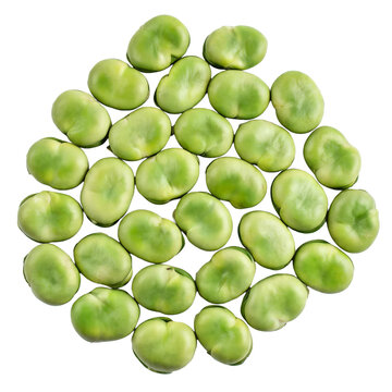 Broad beans, photograph asset