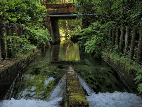 美しい水路