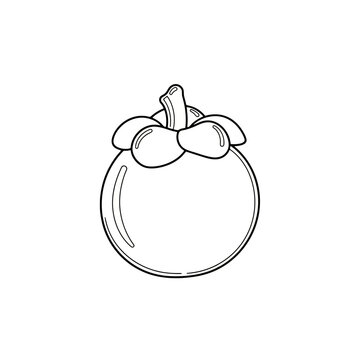 A line art drawing showing a whole mangosteen fruit with a smooth round shape and a thick stem with thick sepals sitting on top which makes it a recognizable tropical harvest for cooking recipes