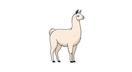 Obraz premium Simple vector illustration of a cream llama standing against a plain white background shows the animal from its side profile with fine details.