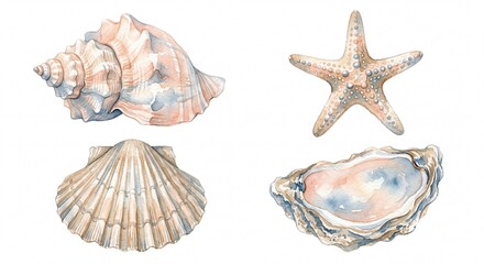 Fototapeta premium Elegant Watercolor Sea Shell Set Featuring Conch, Scallop, Oyster Shell and Starfish