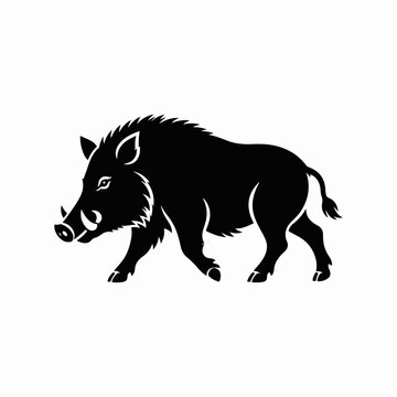 Wild Boar Silhouette