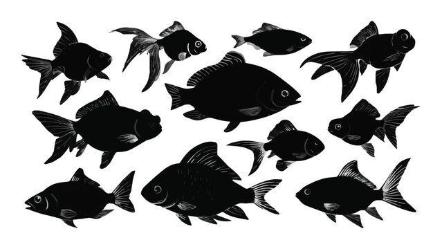 Silhouette of Various Fish Species Swimming Together.