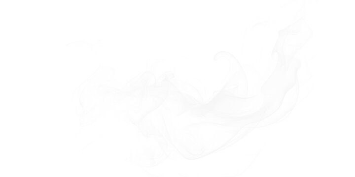 Smoke swirling gently upwards in a mesmerizing dance on a transparent background