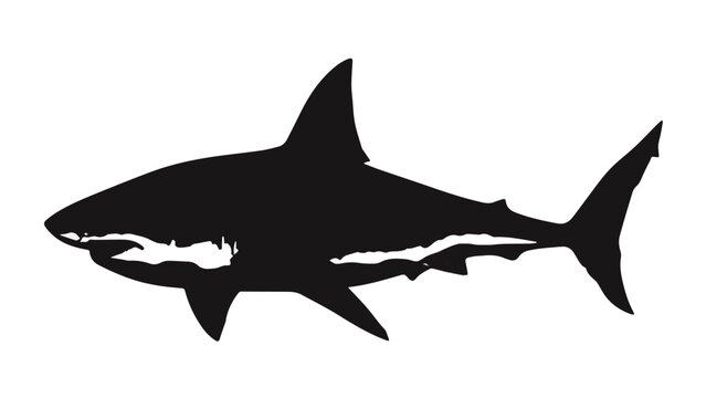 Silhouette of a Shark Swimming in Ocean Water.