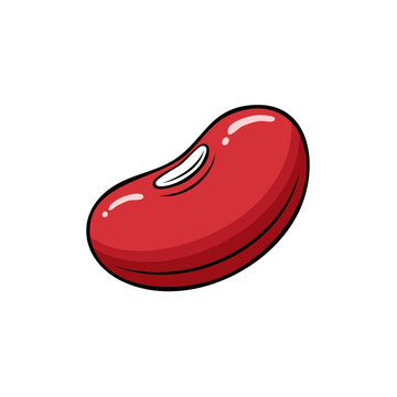 Single red kidney bean illustration with a smooth shiny surface and white hilum detail