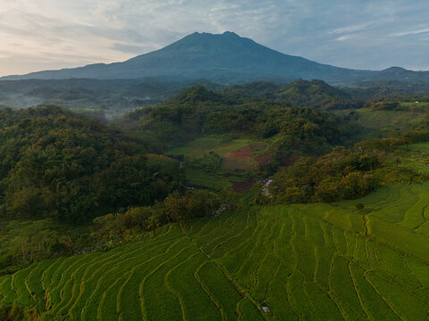 Aerial view of terraced rice fields and lush green hills leading to a majestic mountain peak in the rural landscape of Sragen Regency, Central Java, Indonesia.