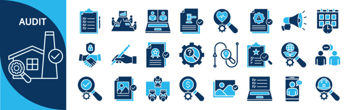 Audit glyph icon set. Contain process, report, planning, program, quality, financial, risk assessment, risk, system, safety, environmental, iso, evidence, criteria, schedule, documentation
