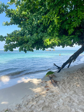 Sea Almond tree branches frame a quiet Caribbean beach, turquoise ocean water and a small offshore rock, blue tropical sky.