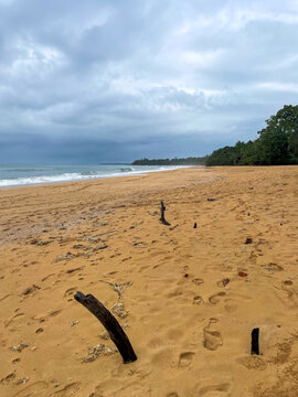 Tropical beach with golden sand and gentle ocean waves along the Caribbean coast of Panama, blue sky and lush green trees