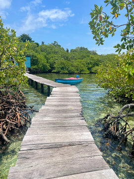 Small boat floats beside a weathered wooden pier in a calm lagoon surrounded by lush mangroves in Bocas del Toro, Panama