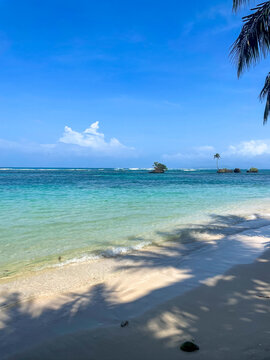 Sunny tropical beach in Bocas del Toro, Panama. Turquoise Caribbean water, soft white sand and palm trees, blue sky