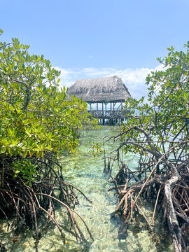 A thatched hut on wooden stilts above turquoise water in a Bocas del Toro lagoon, lush mangroves, cloudy tropical sky