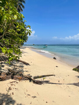 Tropical beach with turquoise water, small boats and lush green palm trees along the sand in Bocas del Toro, Panama